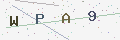 验证码